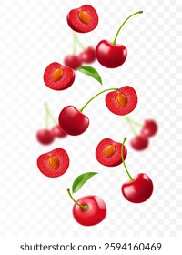 Cherry background. Flying berries with blurry effect. Red cherries falling on transparent background. Can be used for wallpaper, banner, poster, print, fabric, wrapping paper. Vector 3d realistic
