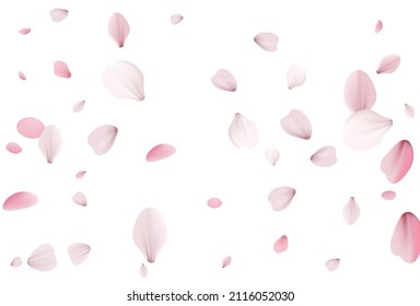 Cherry background, sakura vector background