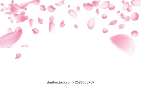 Cherry background, sakura,Rose petals  vector background
