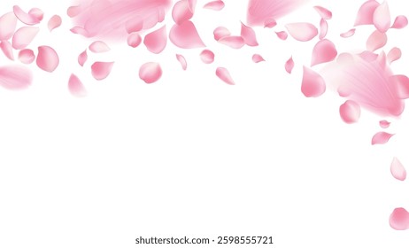 Cherry background, sakura,Rose petals  vector background