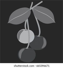 Cherry badge. Three cherries isolated on black background.