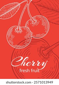 Cherry banner design. line art on red background. Engraving