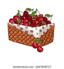 Cherry Basket. Basket of fruits vector illustration. Organic design concept. Hand Drawn Vector fruits collection. Basket with fruits. Farm products.