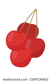 Ilustración de vectores de bifurcación Cherry Berries