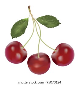 Cherry berries bunch isolated on white background