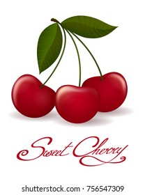 Cherry berries isolated. Fresh cherry fruit with leaf vector illustration