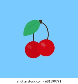 cherry berries with leaves vector icon