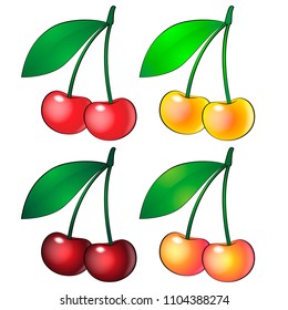 Cherry berries. Vector illustration of realistic ripe multi-colored double cherry berries on a branch with a green leaf isolated on a white background.