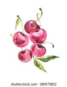 cherry berries watercolor