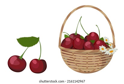 Cherry berries in wicker baskets.  Vector illustration.