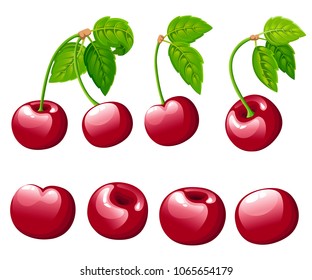 Cherry berry collection. Vector illustration of cherry with green leaves. Vector illustration for decorative poster, emblem natural product, farmers market. Website page and mobile app design.