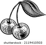 Cherry berry fruit illustration in a vintage retro woodcut etching style.