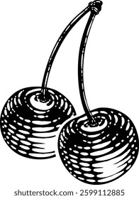 Cherry berry fruit illustration in a vintage retro woodcut etching style.