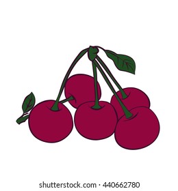 Cherry berry with leaves. Collection of different fresh cherry berry.