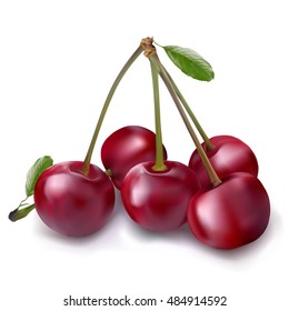 Cherry berry with leaves. Collection of different fresh cherry berry. Gradient mesh.