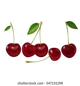 Cherry berry with leaves. Collection of different fresh cherry berry. 