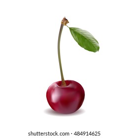 Cherry berry with leaves. Vector illustration. Gradient mesh.
