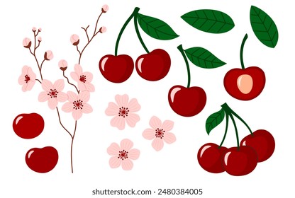 Juego de cerezas. Las ramas de cerezo en flor completa. Cereza con hojas y flores. Jugosas bayas de verano. Ilustración vectorial plana aislada sobre fondo blanco