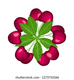 Cherry berry set isolated on white background. Vector illustration. Surface design