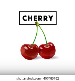 Cherry berry vector illustration. Cherry icon. Cherry sign. Cherry symbol. Cherry on white background. Vector illustration of cherries.