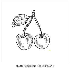 cherry black line drawn on a white background. Vector drawing of fruits. Abstract stains. Colorful cherryies.