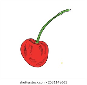 Kirschschwarze Linie auf weißem Hintergrund. Vektorgrafik von Früchten. Abstrakte Flecken. Bunte Kirschen.
