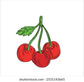 Línea negra de cereza dibujada sobre un fondo blanco. Dibujo de Vector de frutas. Manchas Abstractas. Cerezas coloridas.