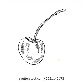 Línea negra de cereza dibujada sobre un fondo blanco. Dibujo de Vector de frutas. Manchas Abstractas. Cerezas coloridas.