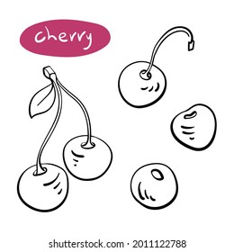 Cereza. Colección de bocetos en línea negra de frutas y bayas aisladas en fondo blanco. Doodle dibujó frutas a mano. Ilustración del vector
