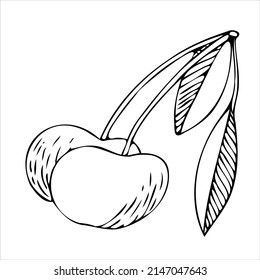 Cherry black and white vector illustration. For all your designs and decors. Suitable for making patterns, postcards, labels, packaging, covers and more.