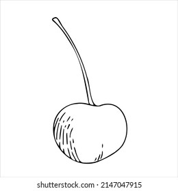 Cherry black and white vector illustration. For all your designs and decors. Suitable for making patterns, postcards, labels, packaging, covers and more.