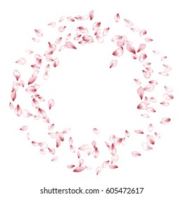 Cherry bloom parts round border, ring with place for text. Pink flower petal confetti vector frame on white background. Spring blossom isolated elements floral pattern design.