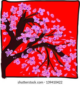 cherry blooms or Flowering Cherry