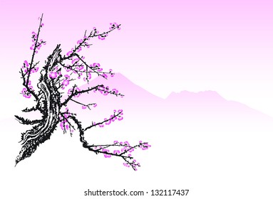 Kirschblüte