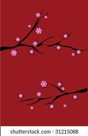 cherry blossom