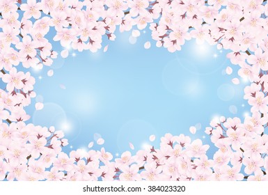 Cherry blossom