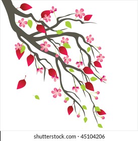 cherry blossom