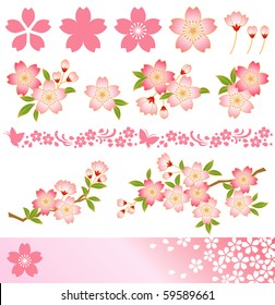 cherry blossom