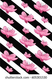 CHERRY BLOSSOM