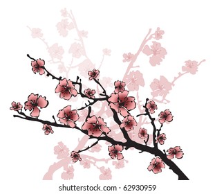 cherry blossom