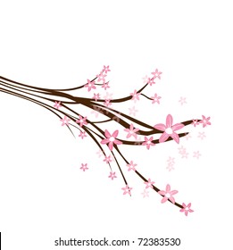 Cherry blossom