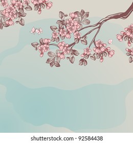 cherry blossom