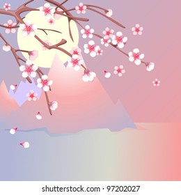 Cherry blossom