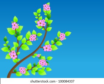 Cherry blossom against blue sky. Vector illustration.