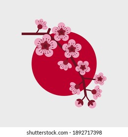 Cherry blossom against the red sun on white background.  Symbol of Japan