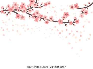 Cherry Blossom. Apricot Sakura Flowers And Flying Leaves. Japanese Tree Branches, Pink Flowers And Leaf. Isolated Asian Chinese Blossom Plant Neoteric Vector Poster