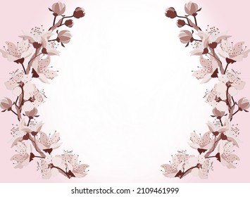 The cherry blossom arrangement is very beautiful with a pink and white background as a design frame, card, invitation