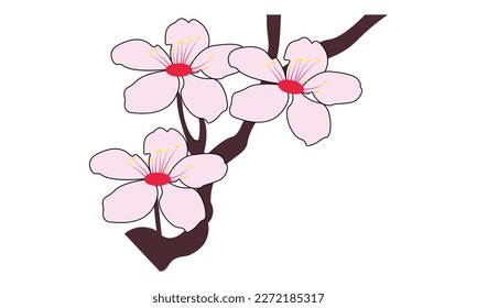 Cherry Blossom Autumn Tree Leaf's Branch