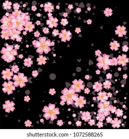 Cherry blossom backdrop isolated on black