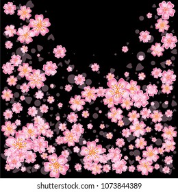 Cherry blossom backdrop isolated on black